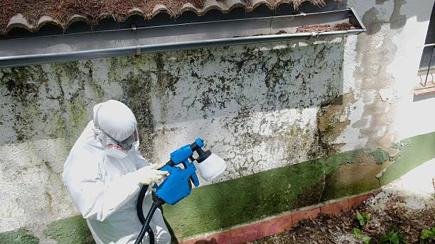 Top rated local Attic Mold Remediation specialists in Ashton, MD